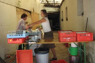 125_IMG_7982.jpg