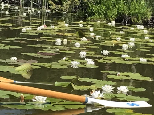 Mecklenburger Kleinseenplatte