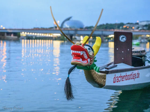 Draco bei der Traverseine 2025 – Bonjour Paris!