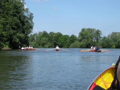 Ruderboote auf dem Main bei Bamberg
